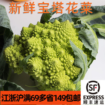 宝塔花菜，一颗2-4斤，