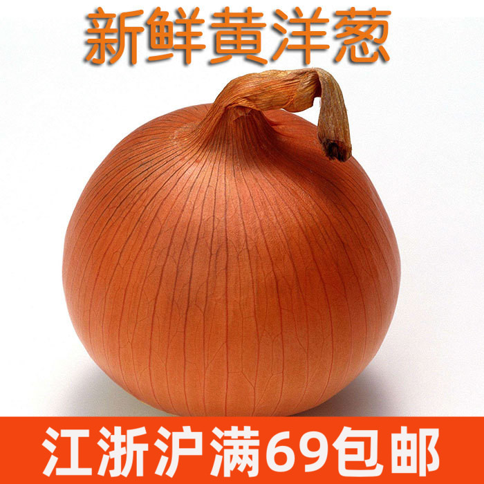 新鲜黄洋葱750g白洋葱 Yellow Onion 家常蔬菜西餐约2颗上海发货
