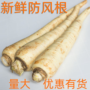 新鲜蔬菜欧防风根500g欧洲萝卜Parsnip 煲汤烤制餐饮沙拉打泥佐酱