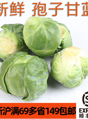 新鲜蔬菜食用孢子甘蓝小甘蓝迷你卷心菜 brussel sprouts烤制水煮