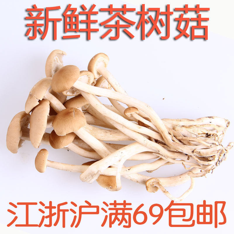 新鲜茶树菇500g 新鲜菌菇 家常食材 江浙沪满69包邮