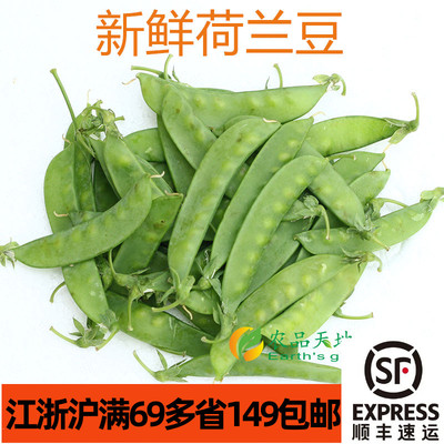 新鲜荷兰豆500g 豌豆甜豆青豆snow pea 家常食材口感甜脆蔬菜食材