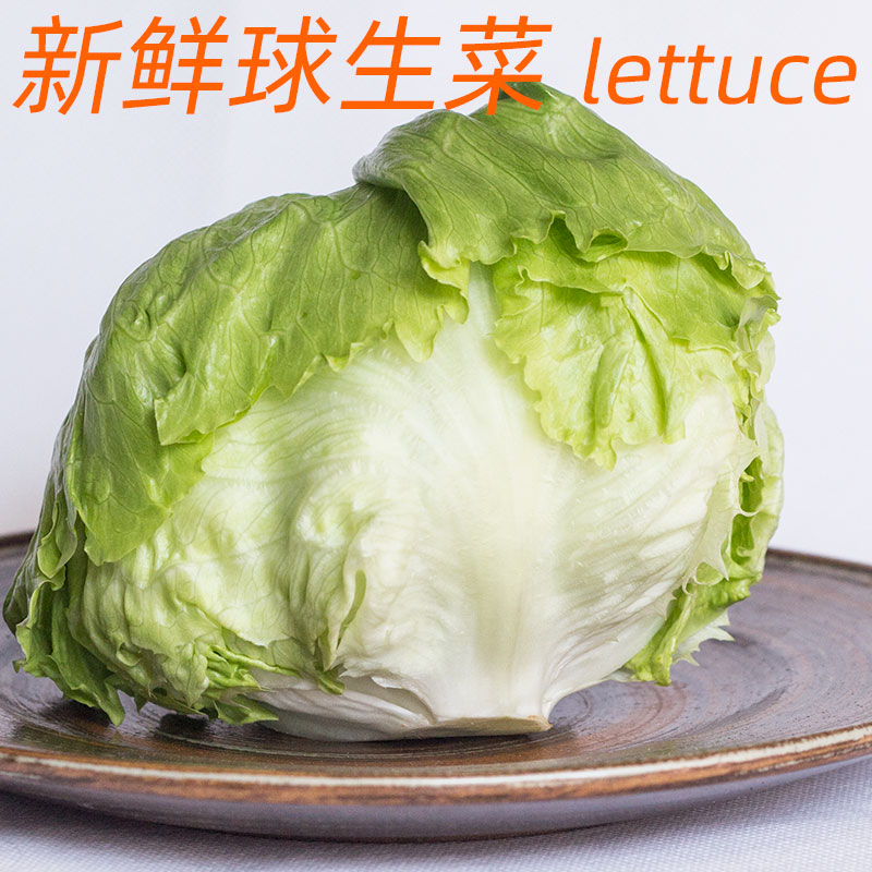 新鲜食用球生菜500g圆汉堡生菜 iceberg lettuce沙拉蔬菜西餐配菜