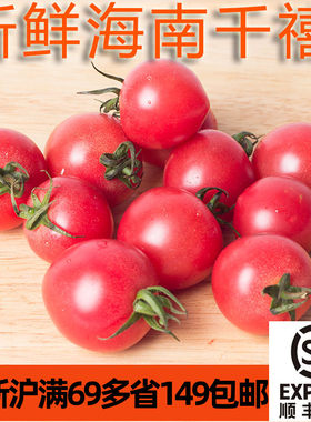 新鲜海南千禧小番茄500g  圣女果cherry tomatoes 江浙沪满69包邮