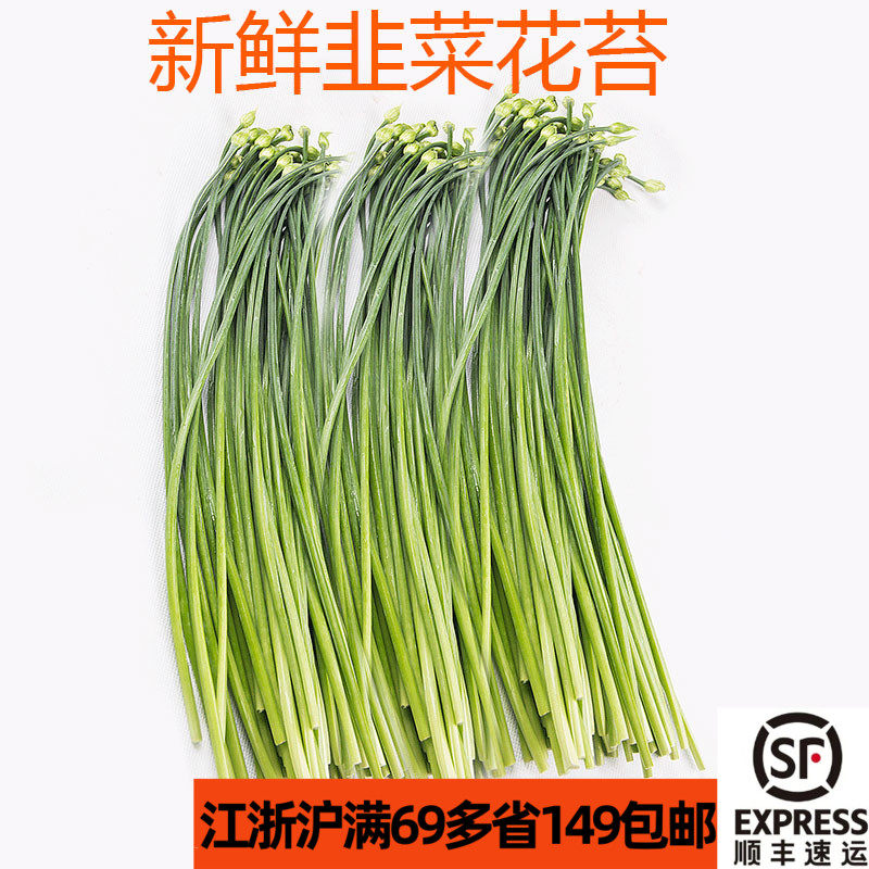 新鲜食用广东韭菜花500g 韭菜苔  口感脆嫩 带杆子青菜蔬菜