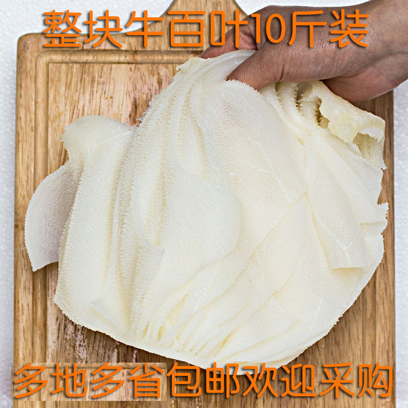 餐饮水发牛百叶5kg十斤 毛肚 火锅冒菜麻辣烫串串 江浙沪皖包邮