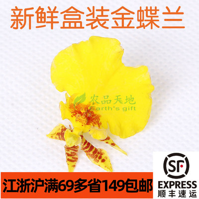 新鲜可食用跳舞兰酒店西餐烘焙