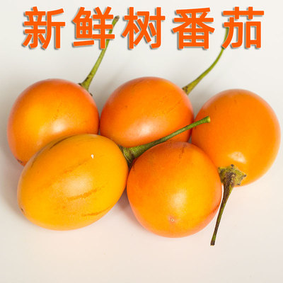 原产南美树番茄果香酸香