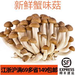 蟹味菇新鲜蔬菜食用菌蘑菇Mushroom火锅涮烫菌汤底西餐菌菇食材