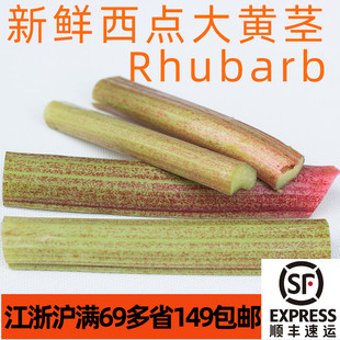 新鲜食用大黄茎Rhubarb西餐甜点派馅料食材沙拉酱酸甜口味