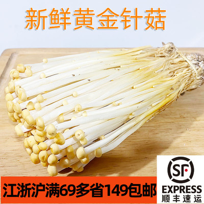 新鲜黄金针菇菌菇蘑菇Mushroom
