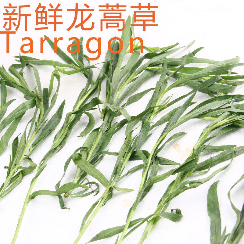 新鲜龙蒿草100g tarragon香艾菊拉根香草餐饮采购 江浙沪满69包邮