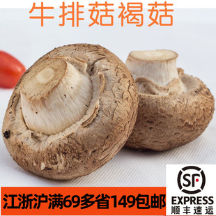 新鲜食用菌褐菇牛排菇波多黎各菌 Portabella样松茸Mushroom