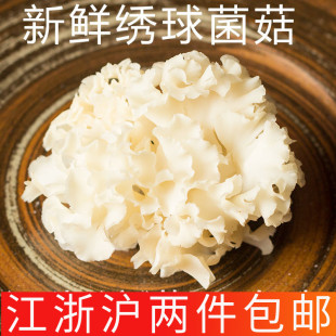 新鲜绣球菌1000g两斤 包邮 食用菌蘑菇花瓣菇清炒凉拌脆江浙沪两件