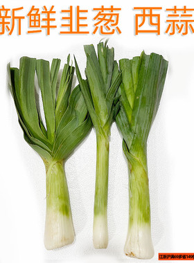 新鲜西餐厅韭葱Leek 非大蒜大葱 西大蒜洋蒜 韭菜大葱味淡不冲
