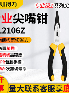 得力尖嘴钳DL2106Z 尖口钳6英寸刃口锋利160mm铬钒钢省力手工钳