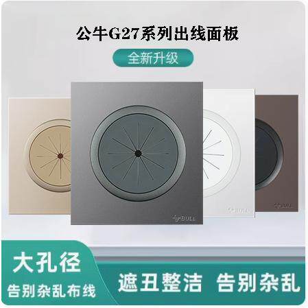 G27系列86型空白面板单控开关