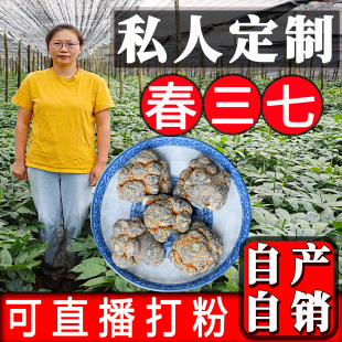 三七头云南文山 可代磨超细粉 特级 汇芸七乡 野生 500g