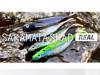 deps sakamata shad real 真实鲥鱼涂装路亚软饵【巴拉咕嗒户外】