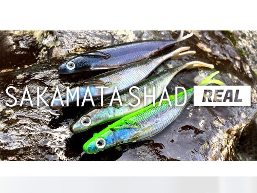 deps sakamata shad real 真实鲥鱼涂装路亚软饵【巴拉咕嗒户外】