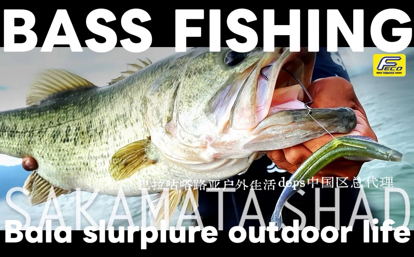 DEPS高比重路亚软饵中国台湾好用