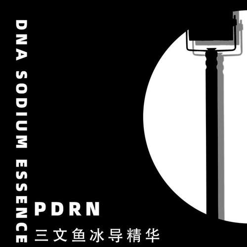 PDRN三文鱼冰导精华美白淡斑