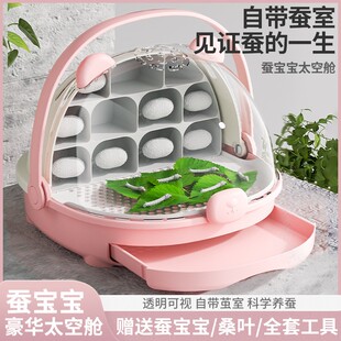 抽屉款蚕宝宝太空舱学生养蚕套装蚕卵活物幼蚕观察饲养盒箱桑叶