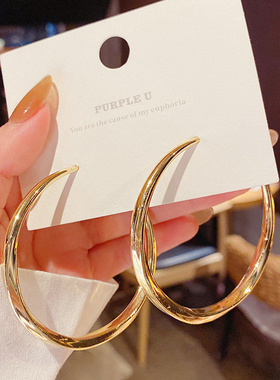 S925银针欧美时尚新品个性圆圈耳环女夸张高级感潮耳圈流行耳饰