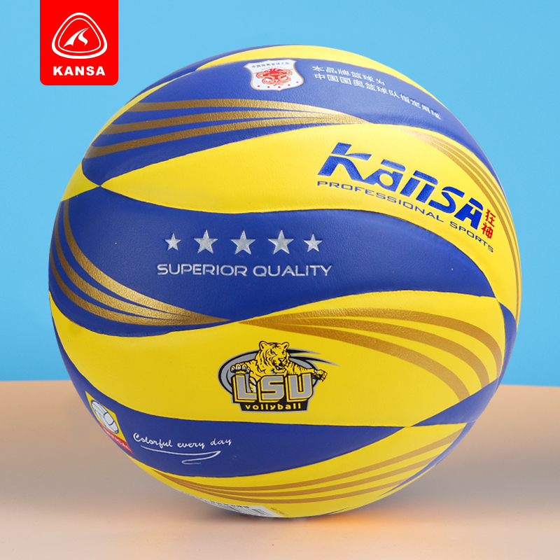 Ballon de volley - Ref 2007903 Image 4