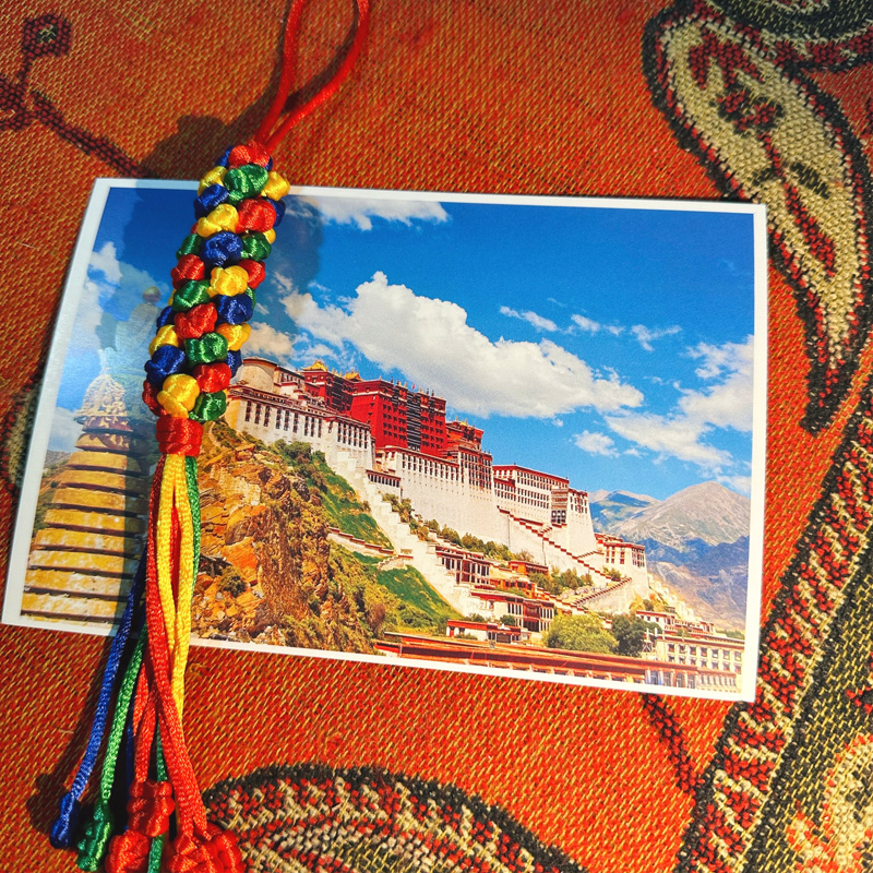 西藏金刚结  全长约12厘米