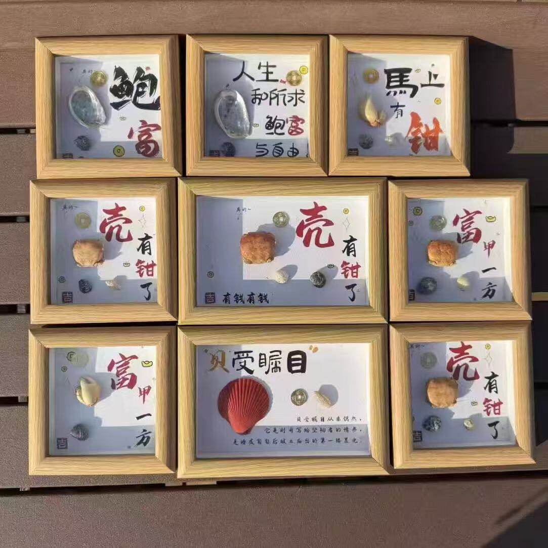 天然海螺贝壳咸鱼海参鲍螃蟹相框图片