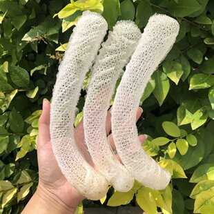 天然网螺与子偕老同穴海螺俪虾装裱画框婚庆男女情侣结婚爱情礼物