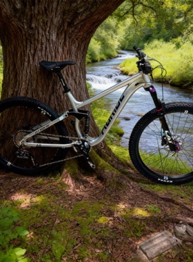 AURIDE软尾山地车自行车铝合金速降车土坡车青少年学生车禧玛诺