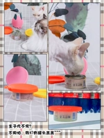 墿 墿 瀹犵 缃 愬 愬 鐩 钖勭  镫楃 缃愬 缃愬 ご 伯 伯 阃傜 氩彛 敤澶 勭栌 鎼 瀛 瀛 濋 濋 瀵 嗗 嗗 嗗 嗗 嗗 嗗 嗗 嗗 嗗 嗗 嗗 嗗 嗗 瀵 嗗 嗗 嗗 嗗 嗗 嗗 嗗嗗 嗗 瀵 嗗 嗗 嗗 嗗 嗗 嗗