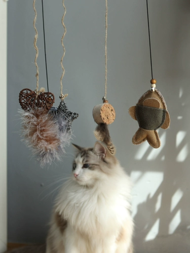 Маленькая звездная интон -кошка игрушка дразнить кошка кошачья кошачья мята рыба -перо колокольчика дразнящая кошачья игрушка сказочная кошачья