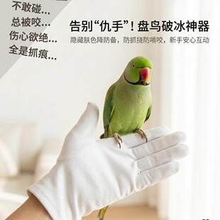 月轮鹦鹉防咬手套防抓宠物店专用训鸟训练耐用麂皮柔软性防滑防扎