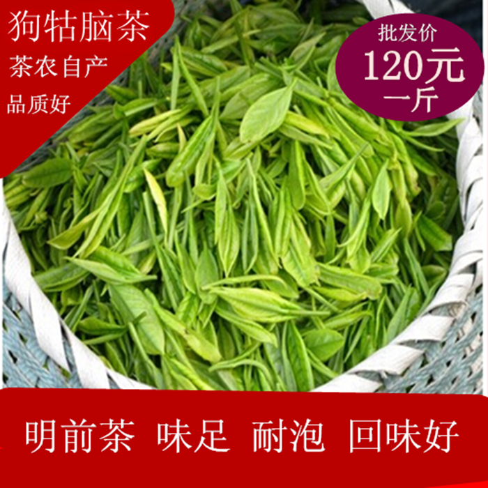 2024年新茶江西遂川狗牯脑茶 新茶 绿茶回甘好 耐泡 香气高
