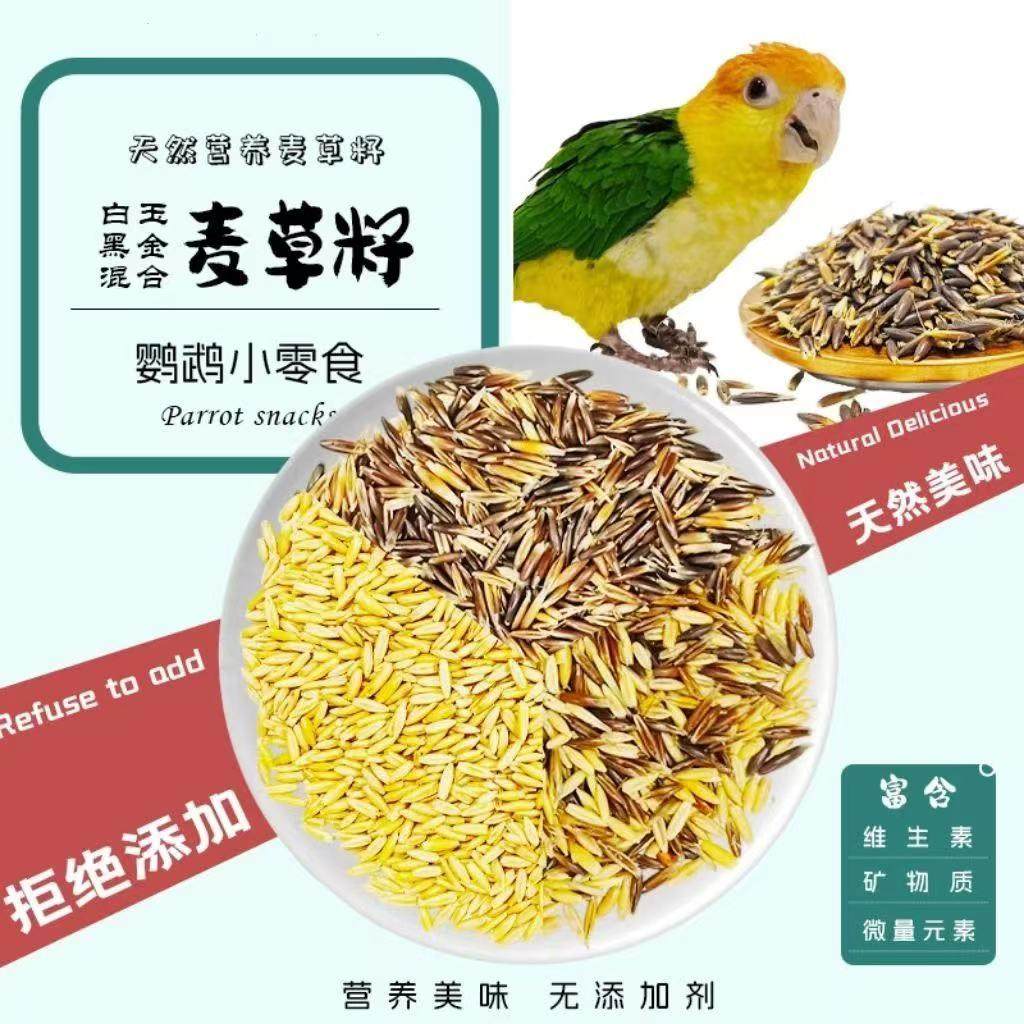 鹦鹉麦草籽白玉麦黑金麦天然麦草籽鸟粮饲料牡丹玄凤鸟零食带壳,宠物/宠物食品及用品,鸟食,淘宝优惠券,粉丝福利购,淘宝优惠卷