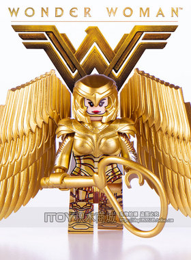 中国积木DC超级英雄积木WM6100黄金神奇女侠1984豹女拼装人仔玩具