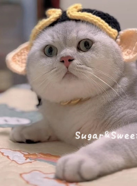 宠物狗狗猫咪变装帽子小猫头套搞笑可爱头饰政策议题胖乎乎花图案