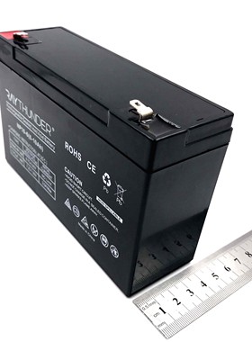 3FM10上海耀华xk3190a9+地磅台秤称重显示器吊钩秤蓄电池6V10A