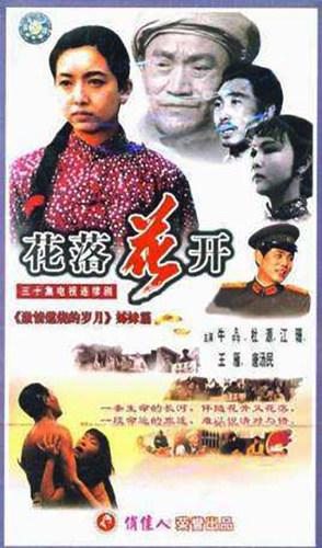 俏佳人正版电视剧碟片光盘 花落花开 20VCD 牛犇 杜源 江珊