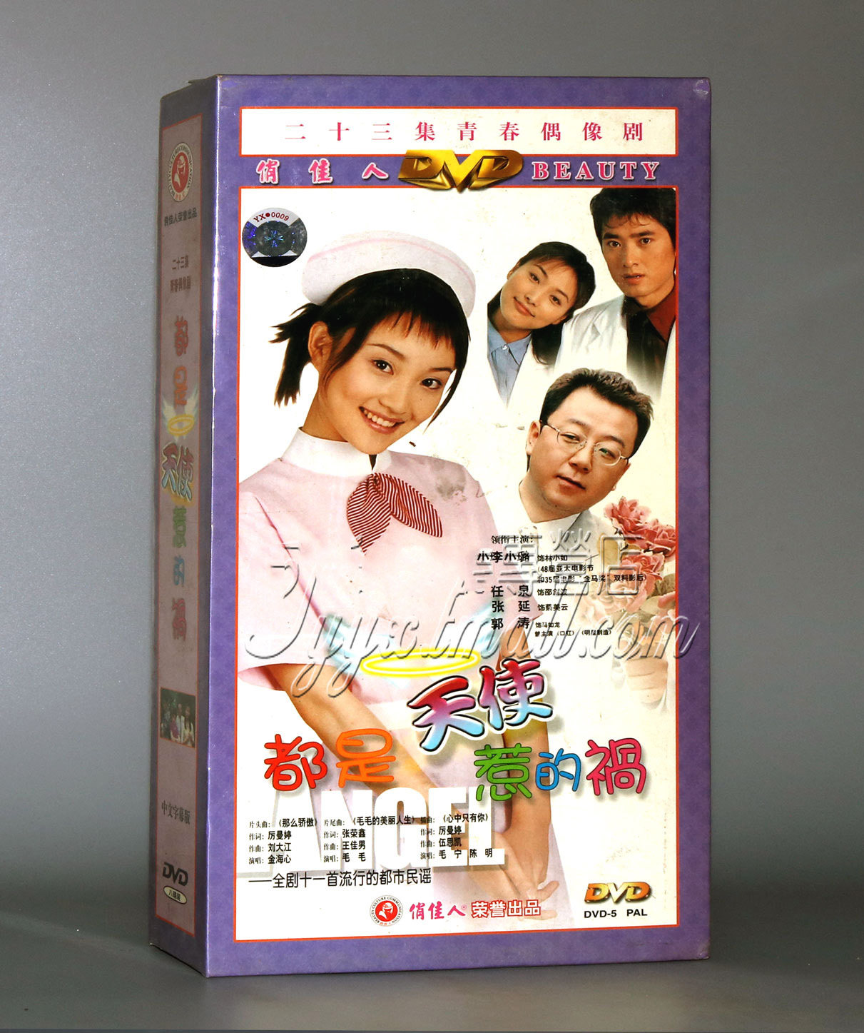 俏佳人电视剧 都是天使惹的祸 精装版8DVD李小璐 郭涛 任泉 张延