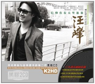 【正版】汪峰精选 信仰在春天里怒放(黑胶2CD) 勇敢的心 飞得更高
