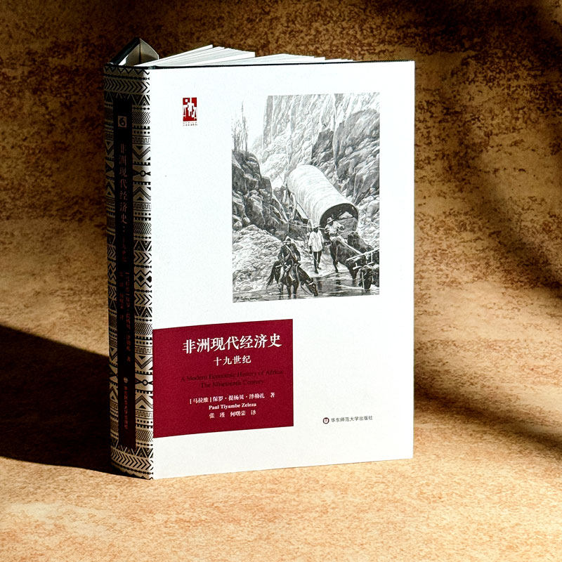 非洲现代经济史 十九世纪 华东师范大学出版社 (马拉维)保罗·提杨贝·泽勒扎 著 张瑾,何曙荣 译 QG