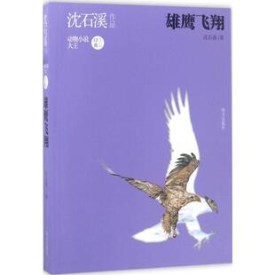 雄鹰飞翔 明天出版社 沈石溪 著 著作 动物小说大王沈石溪经典作品! 聆听到动物动人的心声!触摸到动物美丽的心灵! QG