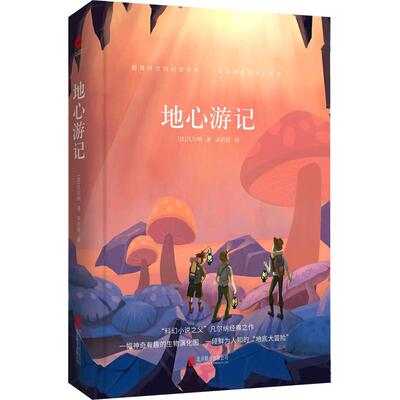 地心游记 京华出版社 (法)儒勒·凡尔纳(Jules Verne) 著 宋洪雷 译  KC