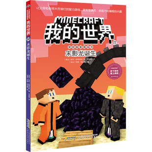 末影龙诞生 安徽科学技术出版社 (南非)凯伦·斯蒂芬斯 著 向丽娟 译 (南非)萨姆·尼达姆 绘 儿童文学