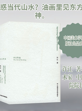 仰山：许江作品 中国美术学院出版社 许江 著 著 绘画（新）  KC