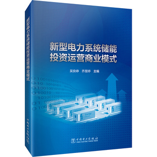 新型电力系统储能投资运营商业模式 中国电力出版社 吴良峥,乔慧婷 编 工业技术其它
